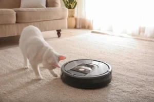 Aspirador robótico moderno e gato bonito no chão dentro de casa