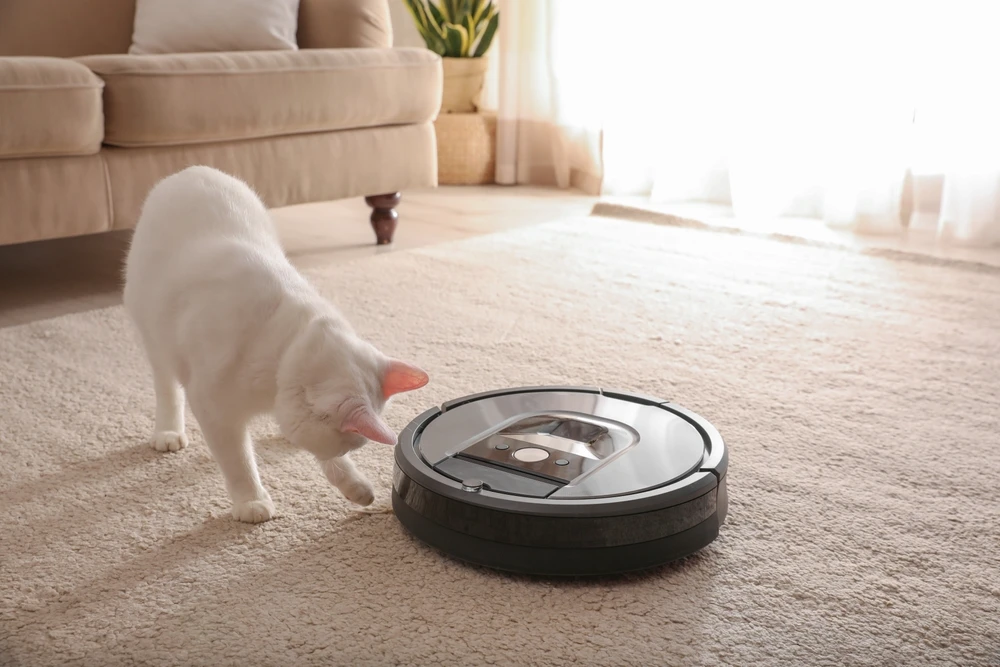 Aspirador robótico moderno e gato bonito no chão dentro de casa